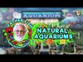 Aquarium Beautiful - 3 Simple Steps