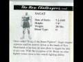 Super Street Fighter II: The New Challengers (Character Profiles/Vitals/Bio)