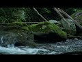 Relaxing Waterfall Hike - Sounds of Nature 4k