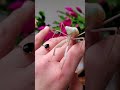 My Chinese Praying Mantis 💚