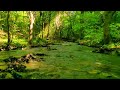 Relaxing Mountain Stream, Water Sounds, Nature Sound, Reduce Stress, Meditation, Spa, Zen, Study