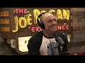 Joe Rogan Experience #2179 - Bridget Phetasy