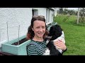 BIG MISTAKE - In The Cottage Garden With Spaniels!! Life In Our Cottage On The Isle of Skye - Ep72