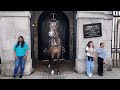 Disrespectful tourists Ignored the signs and went so close the horse, this happened!!!