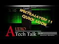 Steinberg's  Spectralayers 11 - Quick Look