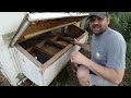 Roostys Chick Feeder, Waterer, and Nesting Pads