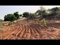 Beautiful heart in beautiful farm #farming #nature #organic #natural