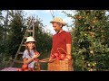 Permaculture: Everything You Ever Wanted to Know
