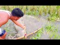 AMAZING FISHING SKILL BY 2 BROTHER | FISHING EXPLORE | FISHING VIDEO 2024