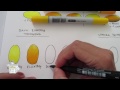 Copic Blending Tutorial Part 1