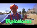 Blippi Visits Dinosaur Exhibition to Learn About Eggs and Fossils!! | Animals for Kids