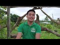 TESDA Competency Assessment in Organic Agriculture Production NCII