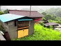 4K Walk Japan Countryside Village Relaxing Walk in The Rain, Binaural Rain & Nature Sounds