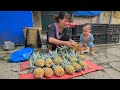 Single mother and her son go to harvest: Sell pineapples & Prepare dishes from pineapples