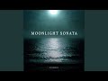 Beethoven - Moonlight Sonata (1st Movement) High Quality Piano