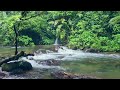 River water flows calmly from tropical forest mountains, good for relaxation, meditation,study,sleep