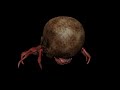 Krakinos, the lvl 100 Skull Crab