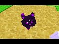 Hatching RARE KITTENS in Minecraft!