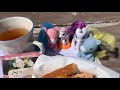 My Little Pony Tea Party Picnic