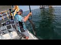 Catching Giants Every Cast At The Worlds LARGEST Natural Gas Rig! **Catch,Clean,Cook**