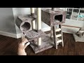Surprising our kitten with his first cat tree.