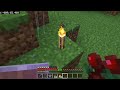 Organizing and cleaning Minecraft Shortplay (no commentary) #minecraft #cleaning #foryou #relaxing