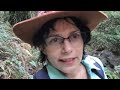 STEEP RAVINE TRAIL ~ Top Hiking Trail in the San Francisco Bay Area
