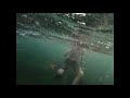 Episode 31: Snorkeling La Jolla Cove