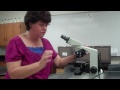 How to use a microscope and oil immersion