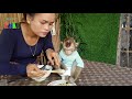 Smart Monkey Koko Looks So Hungry The Noodles | Koko Opening The Noodle  Can't Wait Mom