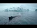 GREENLAND - LAND OF ICE 4K