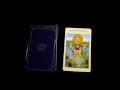 Ace of Pentacles Tarot Card Meaning Video