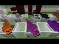 I Collected Every CURSED Mob In Minecraft! (Bedrock Edition)