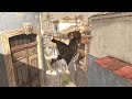Assassin's Creed® IV Black Flag | Parkour snippet