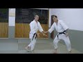 IRIMI (入身): How to enter with the body in Aikido