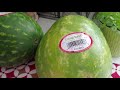 A Small Canadian grocery haul. 🍉🍌🥭🍎🍒🍓