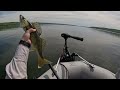 Chain Lake Eaters - Walleye Feast!