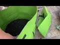 How to Plant  Potatoes  IN A GROW BAG