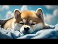 【睡眠用BGM】ふわふわの赤ちゃんと一緒に　ピアノ音楽で癒しの眠りへ