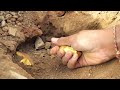 Amazing! Lucky Man Found Huge Nuggets of Gold Treasure Under Stone - Finding gold at the mountain