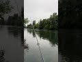 🚨Misty Morning Rainbow Trout Fishing Live Stream