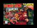 Donkey Kong Country - Aquatic Ambience Cover/Remix