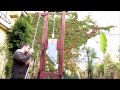 Making a Real Size GUILLOTINE - Ep 015