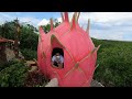 S/V MASTER'S DRAGON PEAK - Borbon, Cebu, Philippines