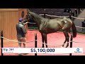 Rushing Fall sells for $5,500,000 at The November Sale (2020)