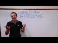 Full Body Stretch Routine for Freedivers | Beginner-Friendly Freediving Dry Training