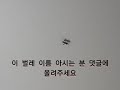 이 벌레가 집 천장에 붙었어요!!!! 이 벌레 이름 아시는 분 댓글창에 올려주세요~~~