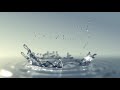 Water Drop (After Effects template)