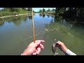 Hoppertunity Time on a Payne 98 bamboo fly rod