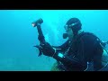 Shark Dive Jupiter Florida July 2019 video #2